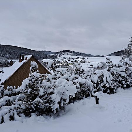 Sauerland-Tinyworld - Ihr Tiny Ferienhaus Im Sauerland Am Diemelsee 외부 사진