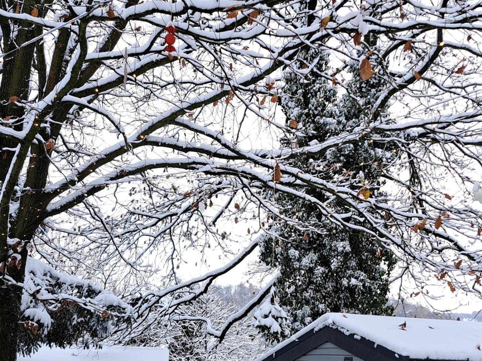 Sauerland-Tinyworld - Ihr Tiny Ferienhaus Im Sauerland Am Diemelsee 외부 사진