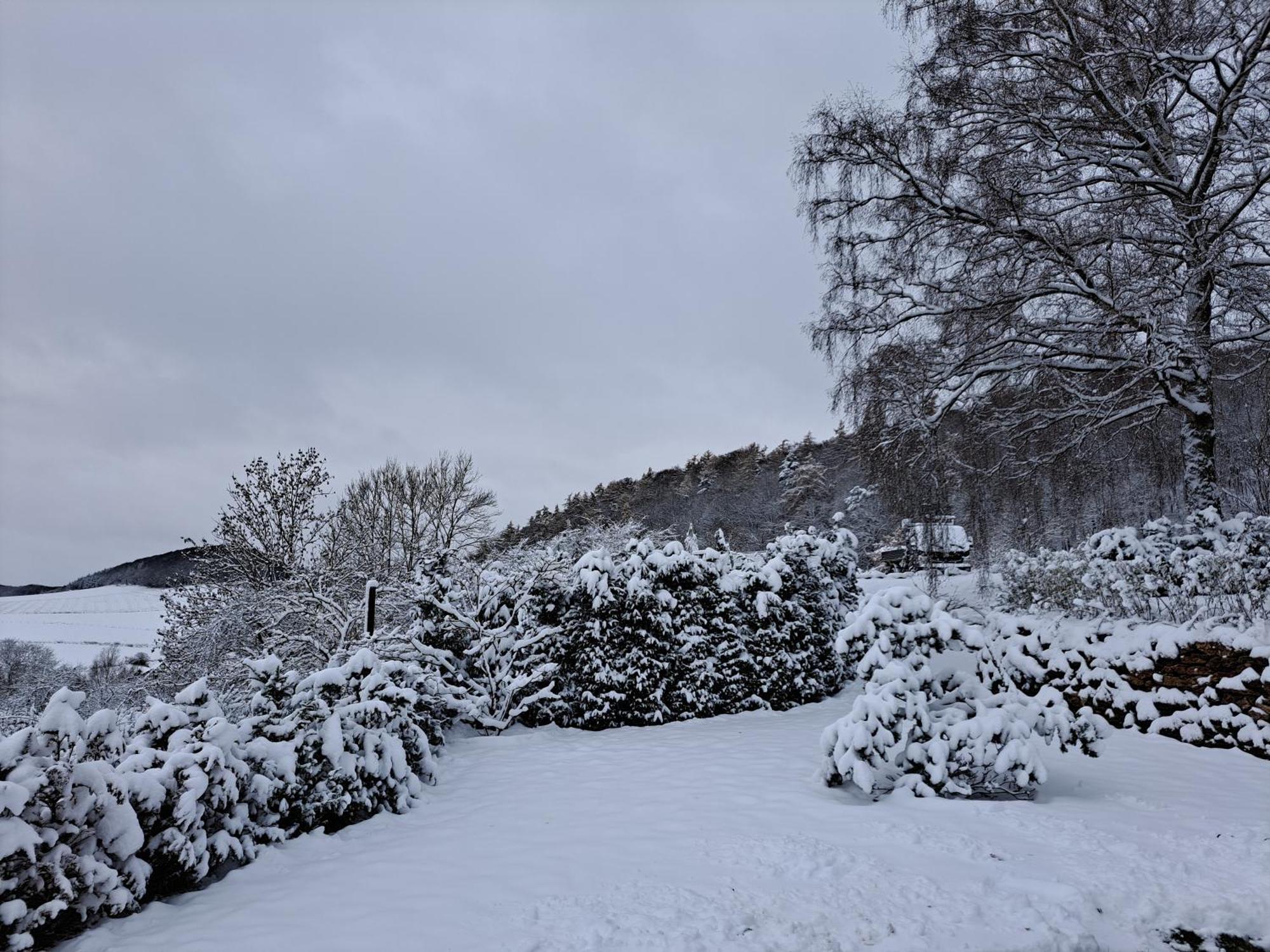 Sauerland-Tinyworld - Ihr Tiny Ferienhaus Im Sauerland Am Diemelsee 외부 사진