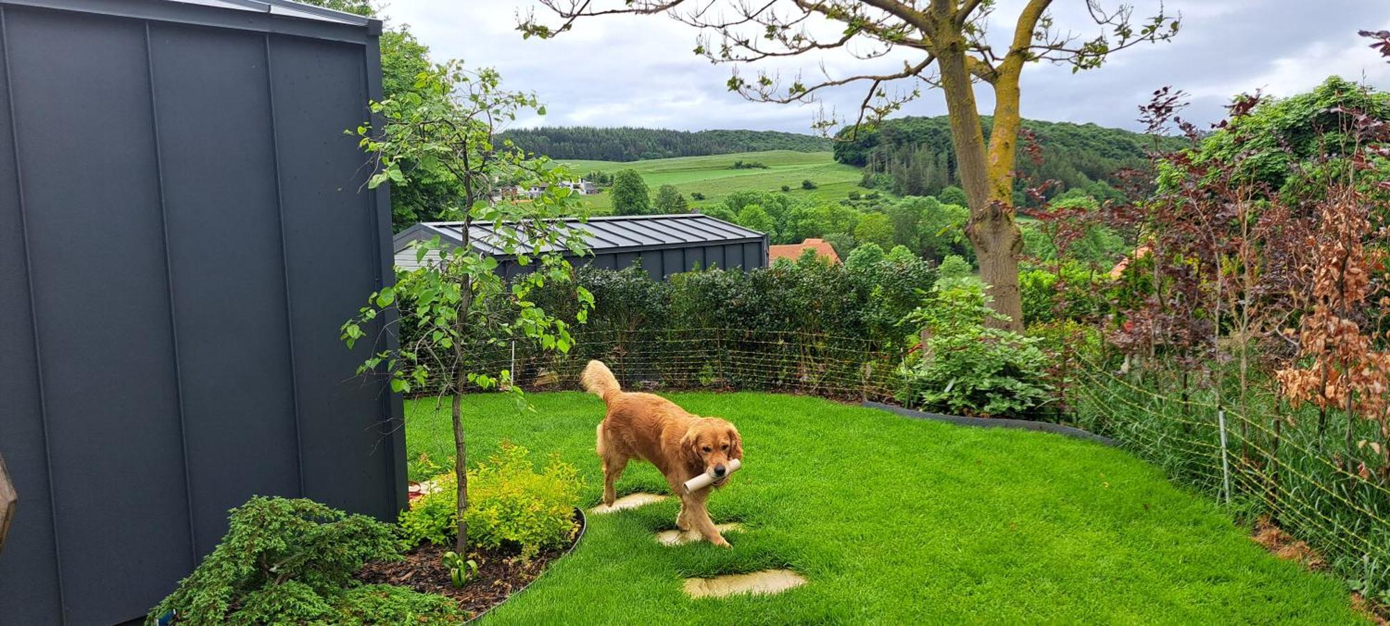 Sauerland-Tinyworld - Ihr Tiny Ferienhaus Im Sauerland Am Diemelsee 외부 사진