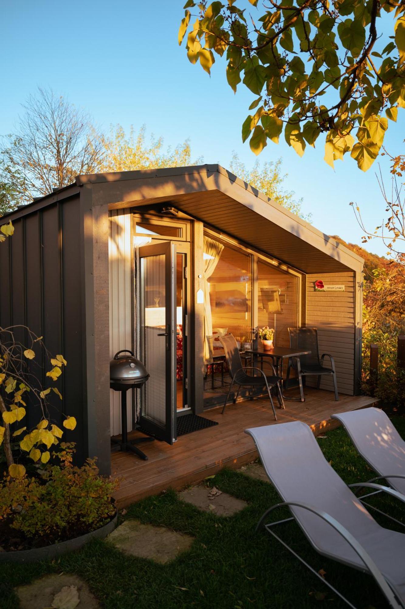 Sauerland-Tinyworld - Ihr Tiny Ferienhaus Im Sauerland Am Diemelsee 외부 사진