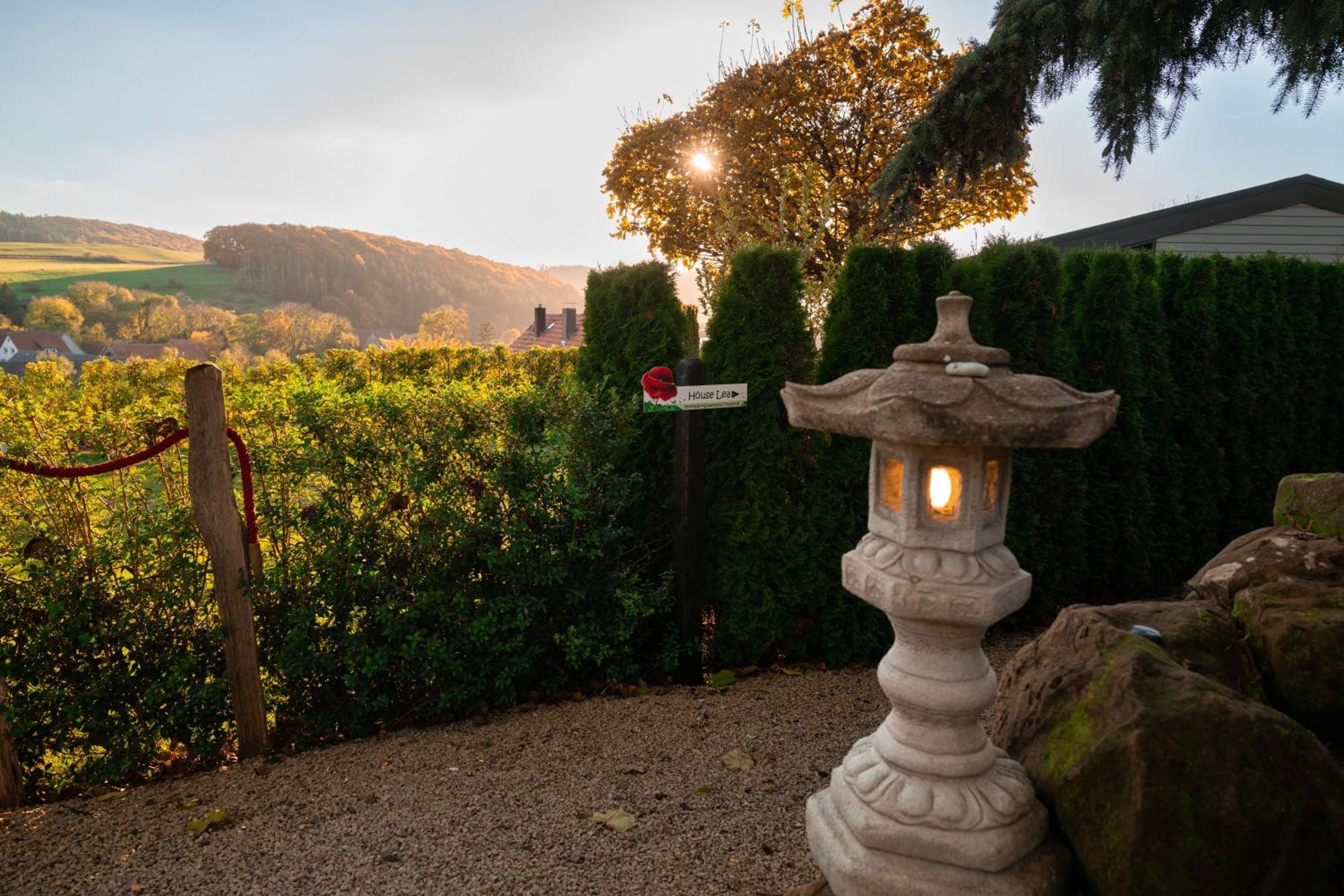 Sauerland-Tinyworld - Ihr Tiny Ferienhaus Im Sauerland Am Diemelsee 외부 사진