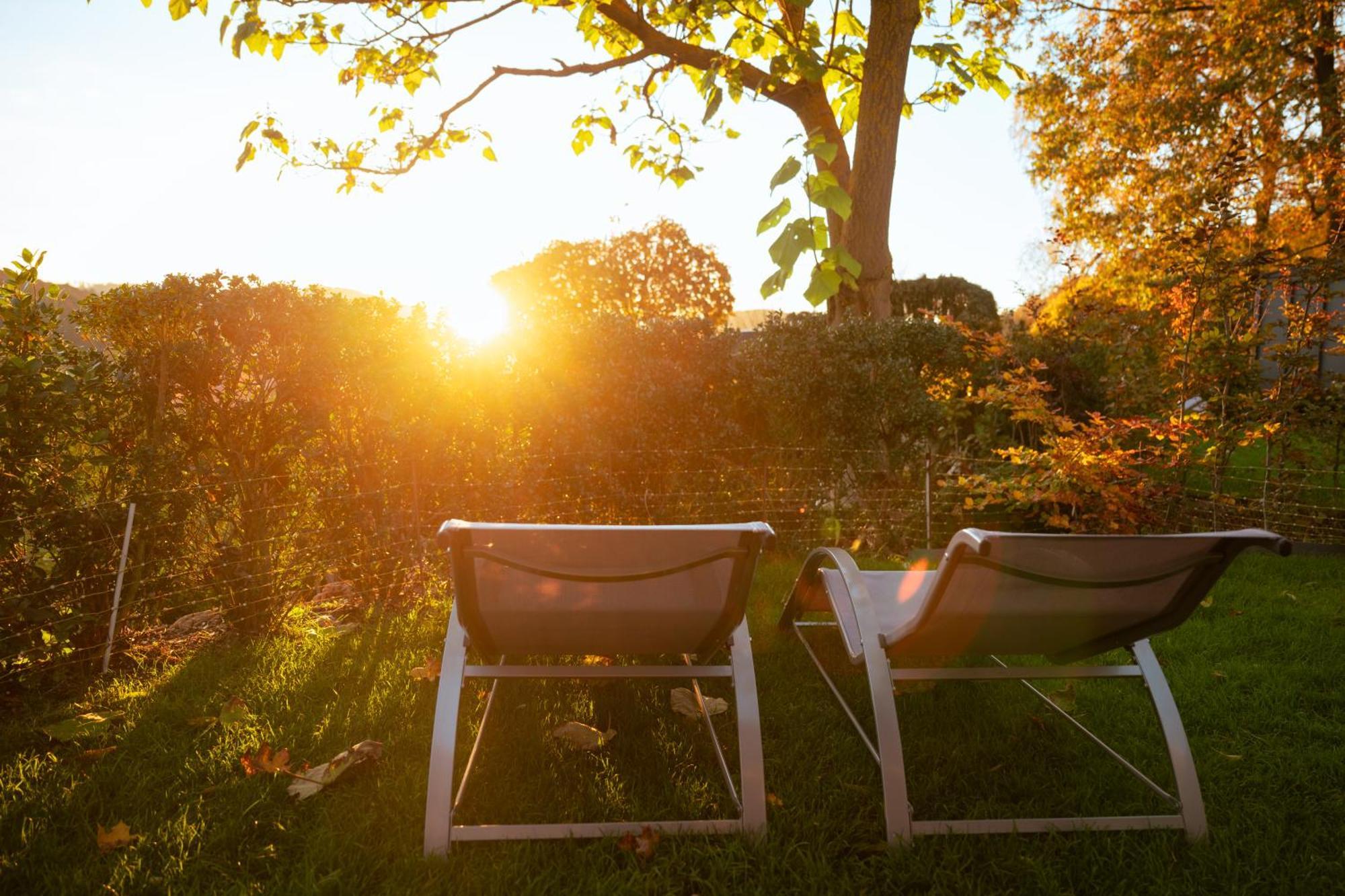 Sauerland-Tinyworld - Ihr Tiny Ferienhaus Im Sauerland Am Diemelsee 외부 사진