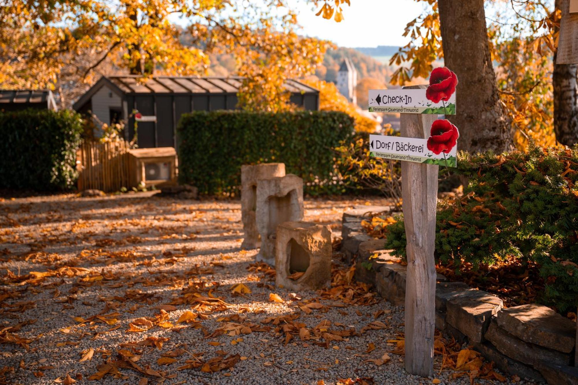Sauerland-Tinyworld - Ihr Tiny Ferienhaus Im Sauerland Am Diemelsee 외부 사진
