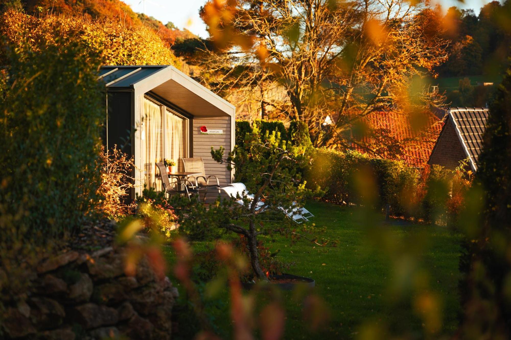 Sauerland-Tinyworld - Ihr Tiny Ferienhaus Im Sauerland Am Diemelsee 외부 사진