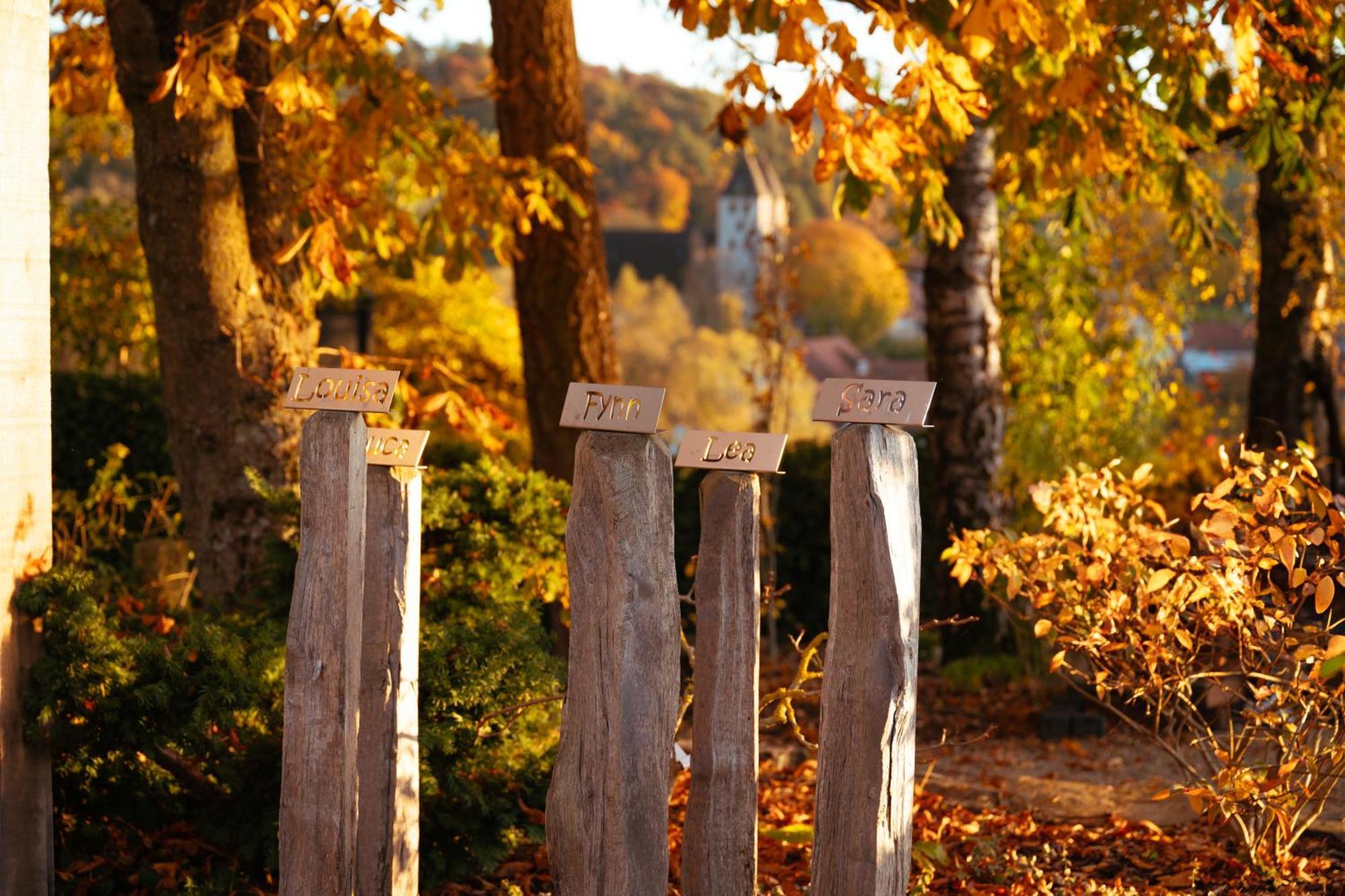 Sauerland-Tinyworld - Ihr Tiny Ferienhaus Im Sauerland Am Diemelsee 외부 사진