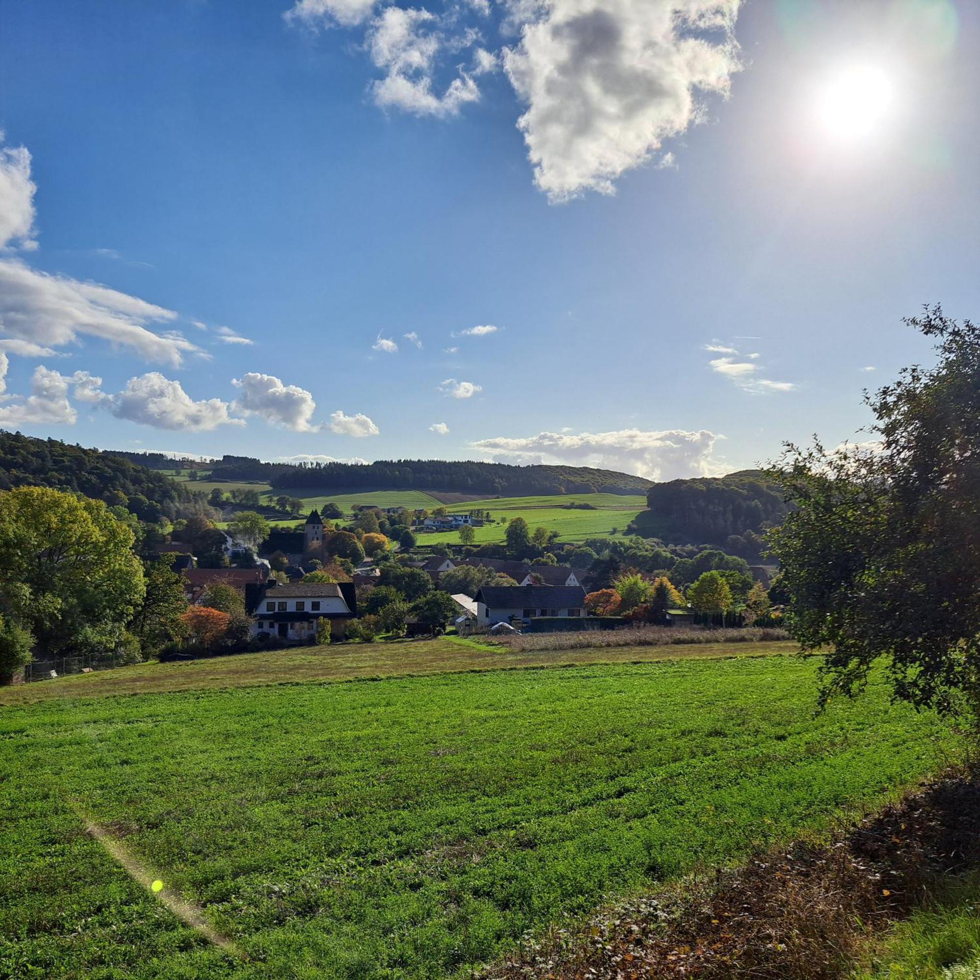 Sauerland-Tinyworld - Ihr Tiny Ferienhaus Im Sauerland Am Diemelsee 외부 사진