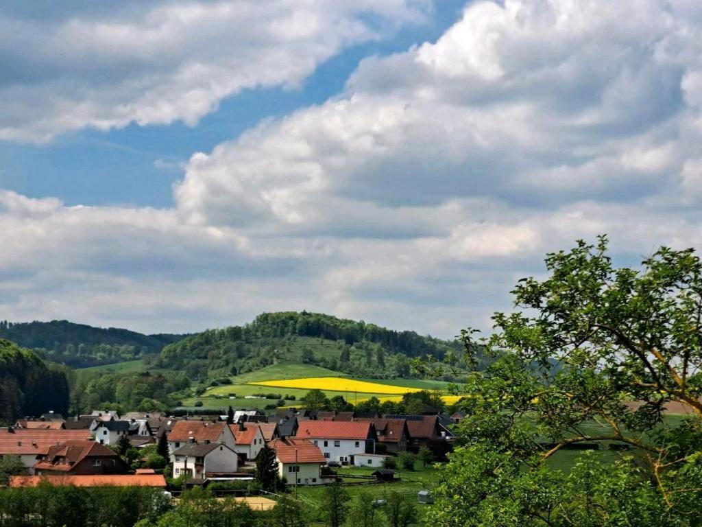 Sauerland-Tinyworld - Ihr Tiny Ferienhaus Im Sauerland Am Diemelsee 외부 사진